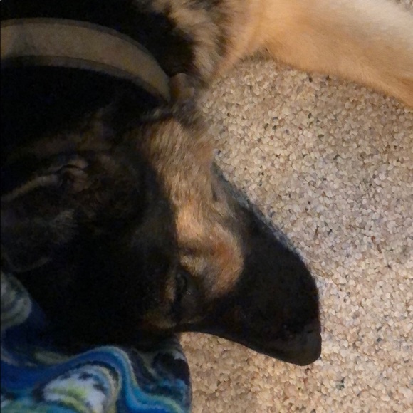 Meet your Posher, Tina - Picture 1 of 1